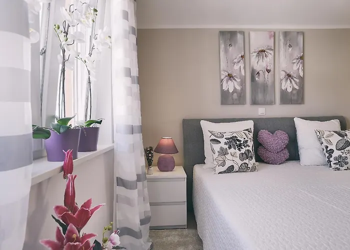 House Vedrana, Jadreski *